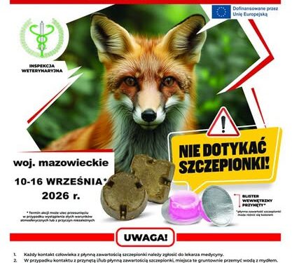 Uwaga mieszkańcy! Ochronne szczepienie lisów na Mazowszu 🦊